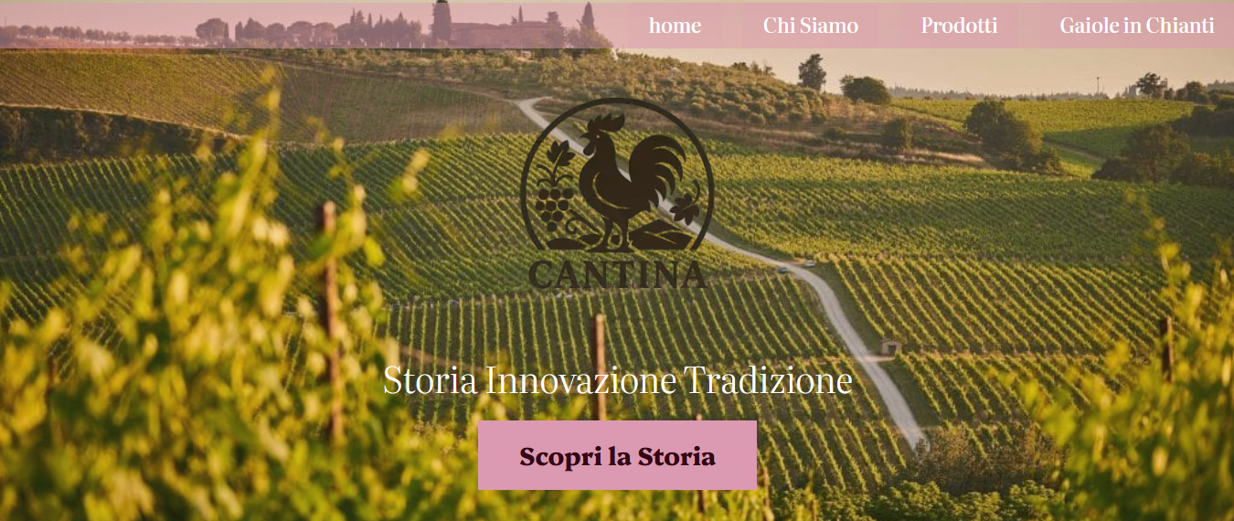 foto di un progetto realizzato per Cantina Sala